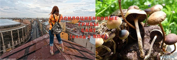 бошки Абинск