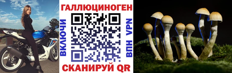 Галлюциногенные грибы Psilocybe  Венёв 